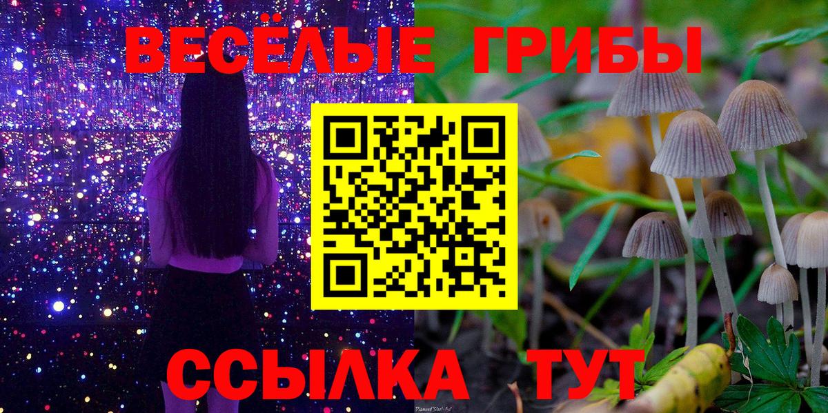 закладки  Псилоцибиновые грибы Magic Shrooms  Саянск  Вход с VPN  Галлюциногенные грибы GOLDEN TEACHER 