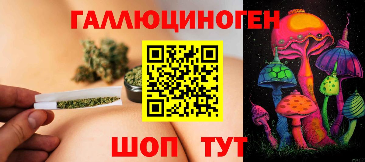 Псилоцибиновые грибы мухоморы Саянск